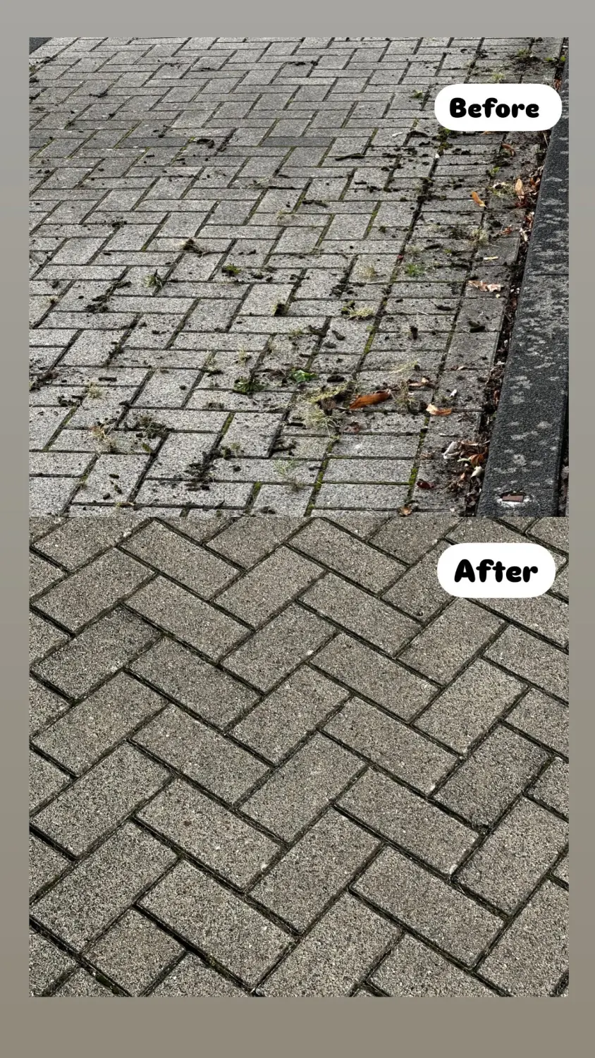 Bodengestaltung von S und B Garten Bau