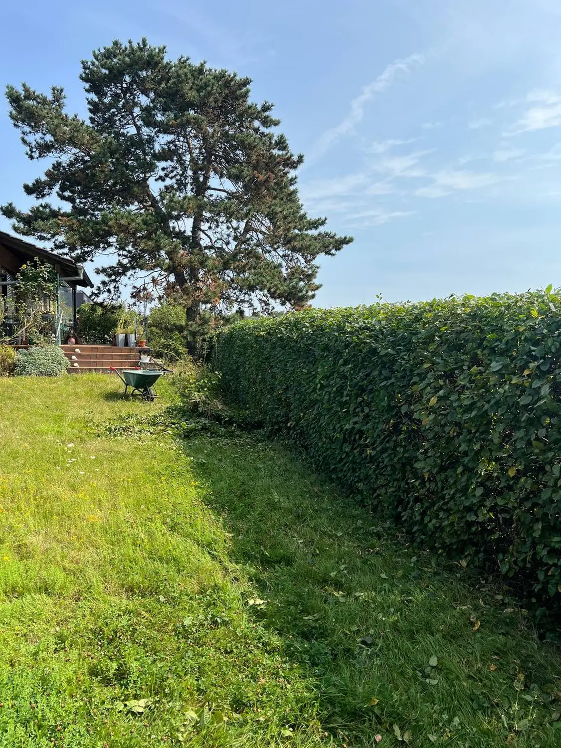 Graden-Design von S und B Garten Bau