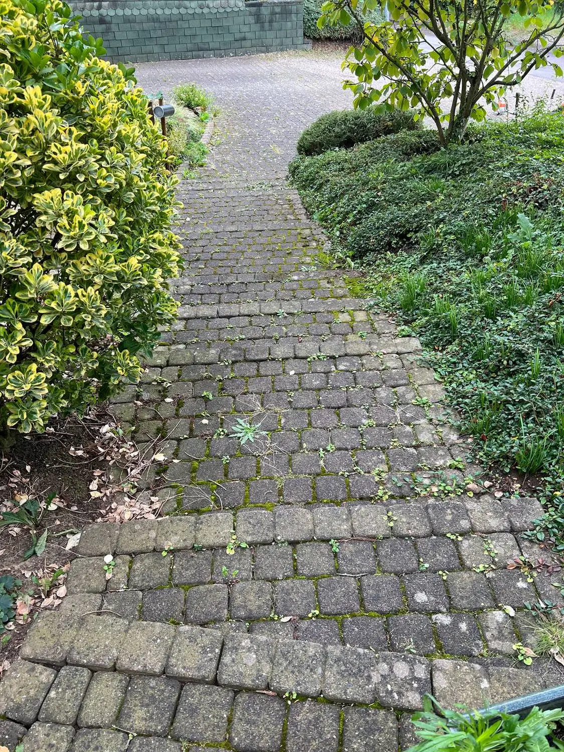 Bodengestaltung von S und B Garten Bau