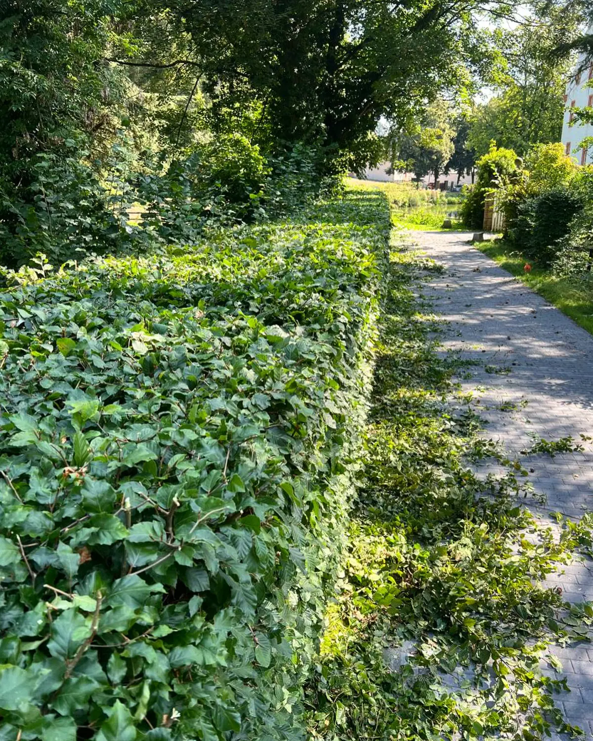 Graden-Design von S und B Garten Bau